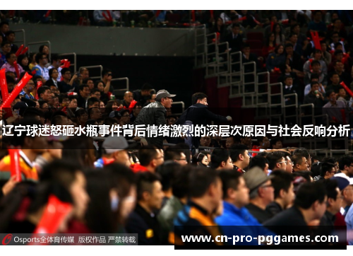 辽宁球迷怒砸水瓶事件背后情绪激烈的深层次原因与社会反响分析 辽宁球迷怒砸水瓶事件背后情绪激烈的深层次原因与社会反响分析