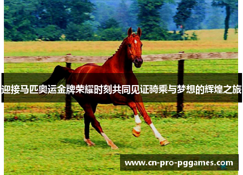 迎接马匹奥运金牌荣耀时刻共同见证骑乘与梦想的辉煌之旅