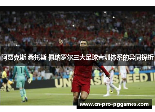 阿贾克斯 桑托斯 佩纳罗尔三大足球青训体系的异同探析 阿贾克斯 桑托斯 佩纳罗尔三大足球青训体系的异同探析