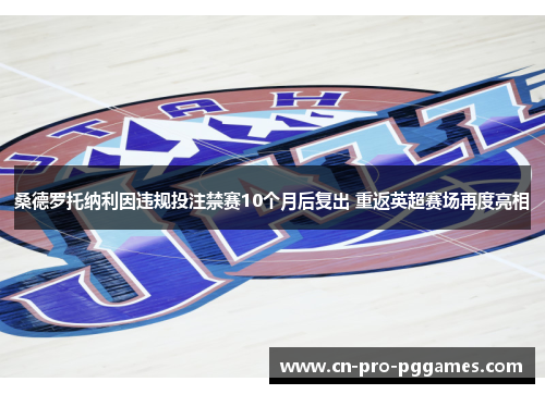 桑德罗托纳利因违规投注禁赛10个月后复出 重返英超赛场再度亮相